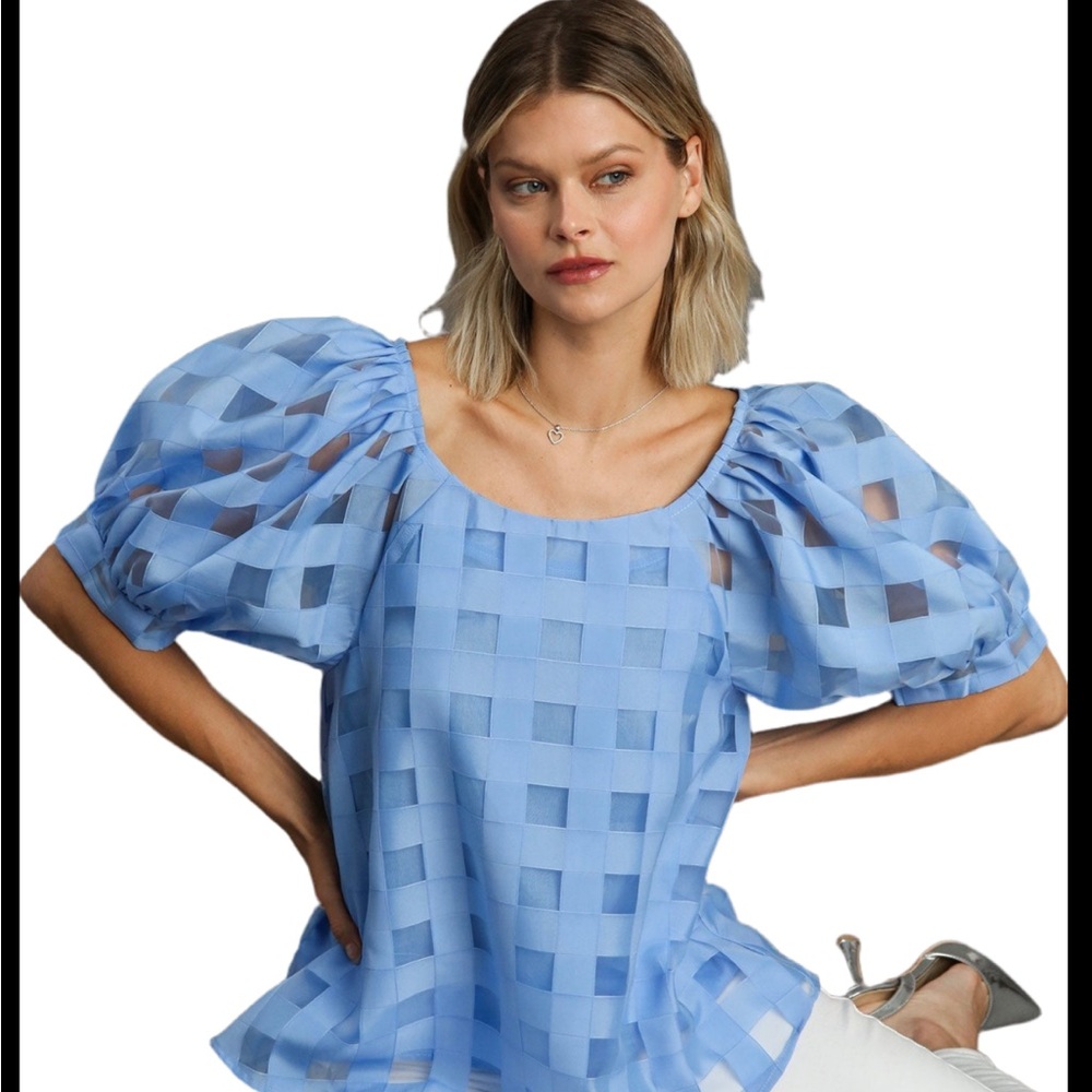 Blue checkered top with beautiful sleeves